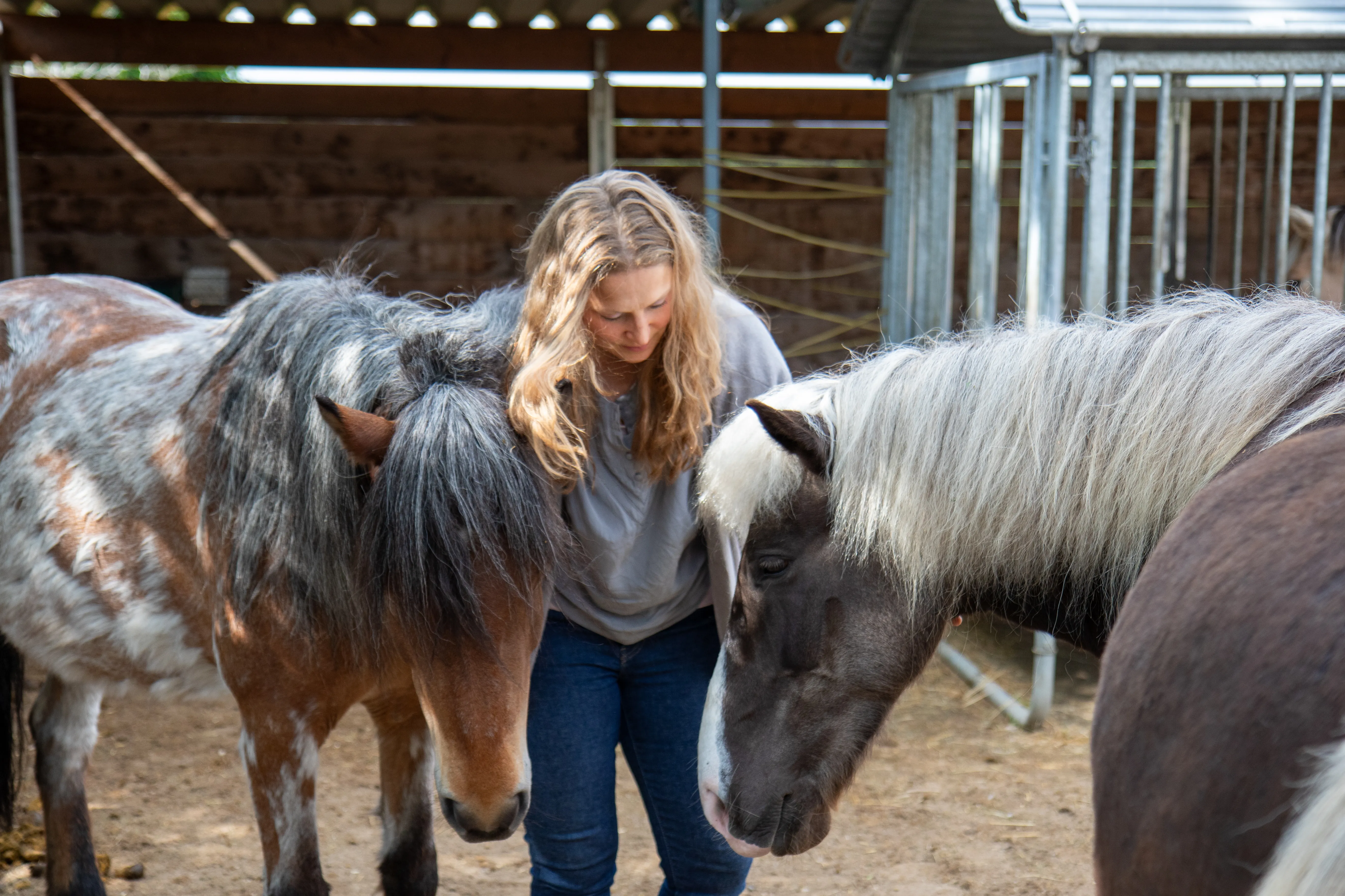 Begegnung mit Pferd bei Pferdenaturell
