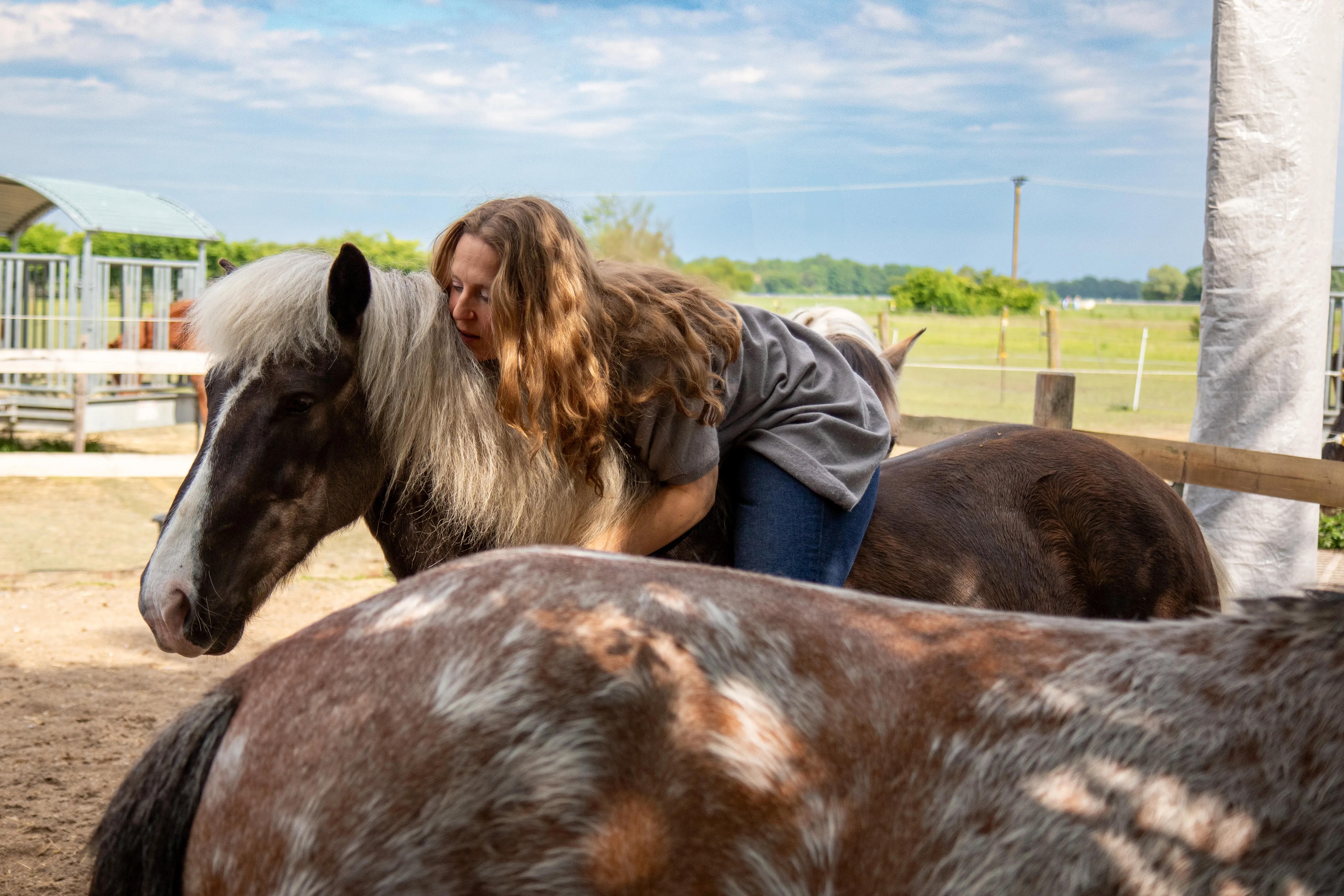 Einzelunterricht – friedvoller Umgang mit dem Pferd