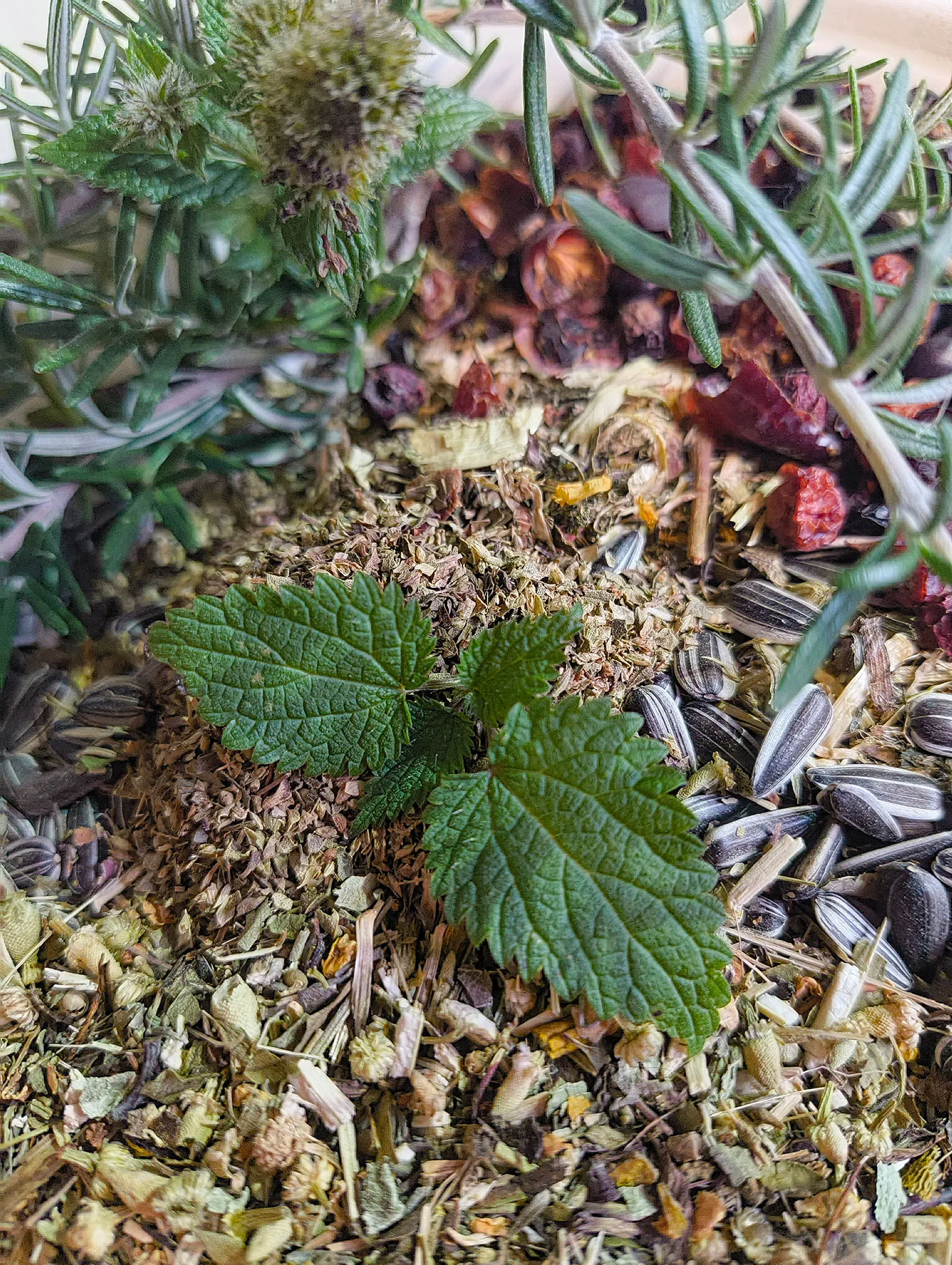 Handverlesene Kräuterpakete