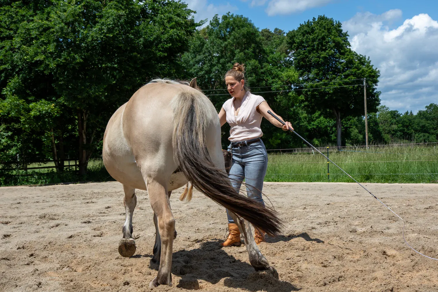 Barbara beim Training mit Pferd
