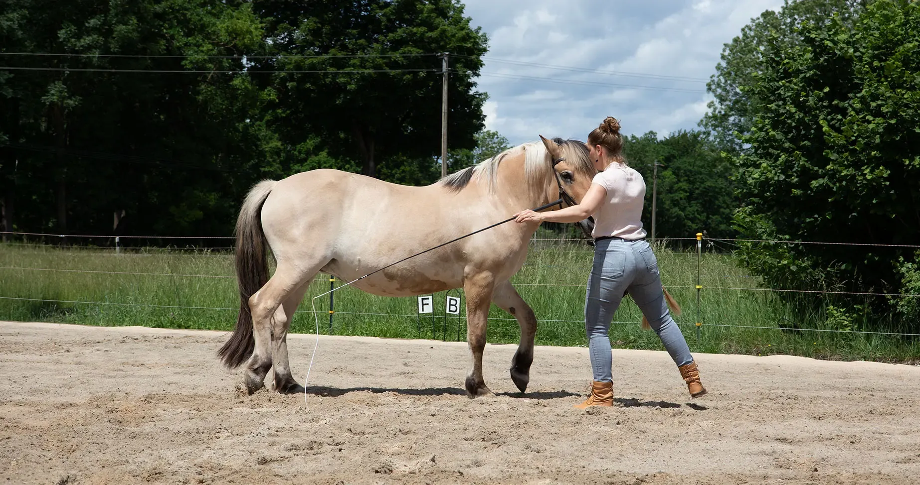 Pferdetraining in natürlicher Umgebung