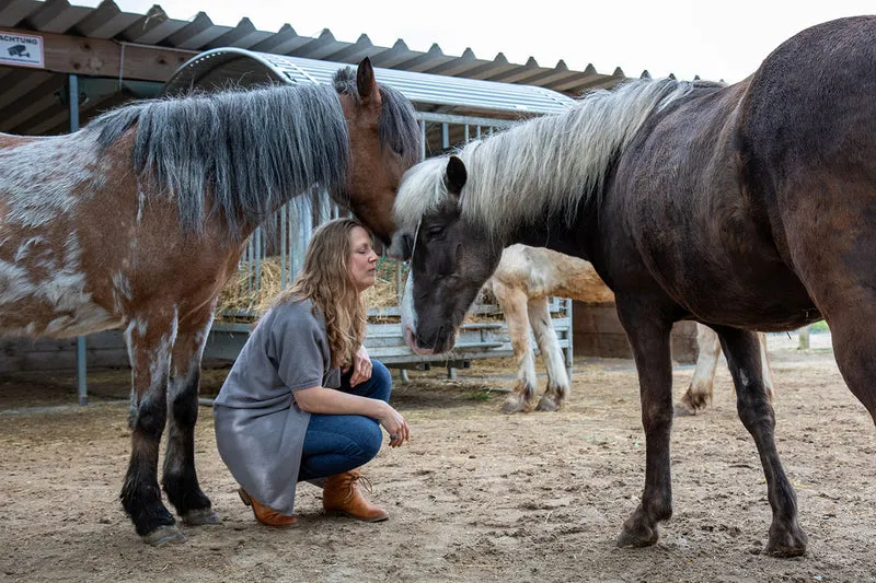 Barbara mit Pferd